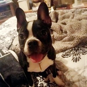 Meet your Posher, Sandi